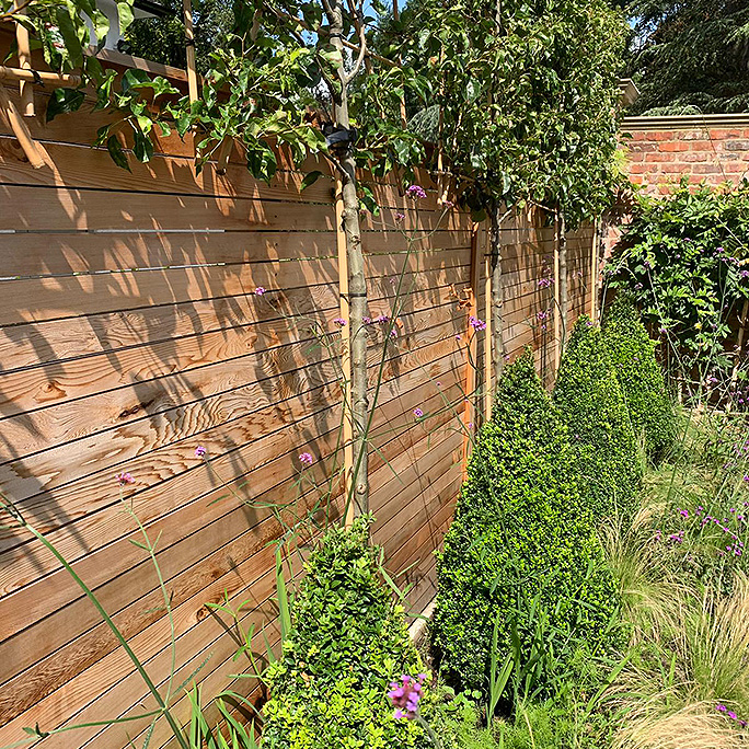 cedar fencing